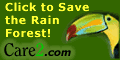 Race for the Rainforest