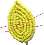 Lacing Diagram