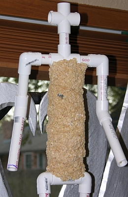 Rice Krispies Chest