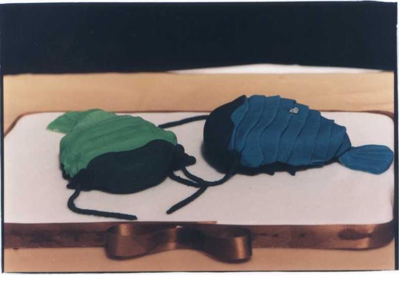 Koa Cake 1