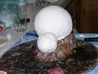 Making Shelob's Body - 5