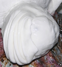 Making Shelob's Head - 3