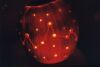 Disco Pumpkin - Lit