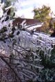 Close up of sprinkler freeze - Thumb