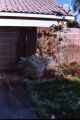 Wide view of sprinkler freeze - Thumb